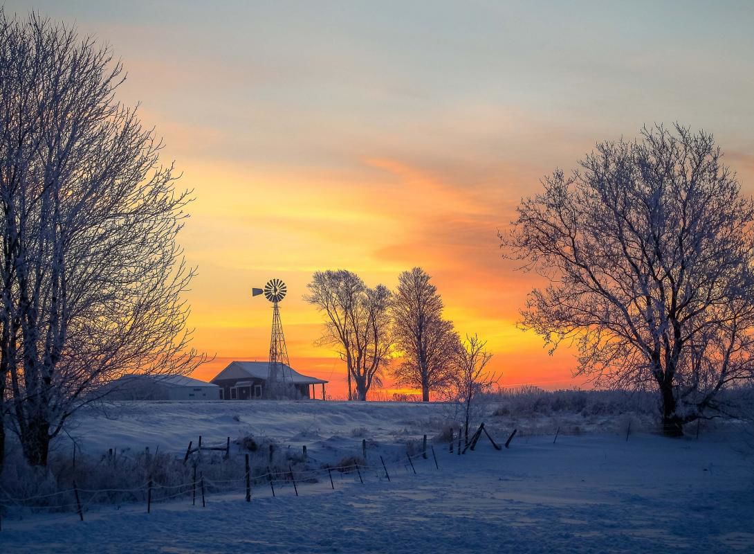 Cindy Thorn: Frosty Morning